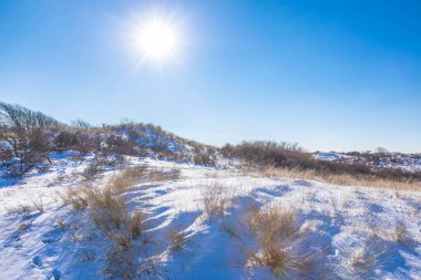 Amsterdamse 'deki karlı ve buzlu kış manzarası Waterleidingduinen, berrak mavi gökyüzü.