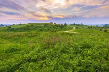 Yaz mevsiminde güzel bir günbatımı altında güzel tarlalar. Alım Parkı Hayvanat Bahçesi, Hollanda