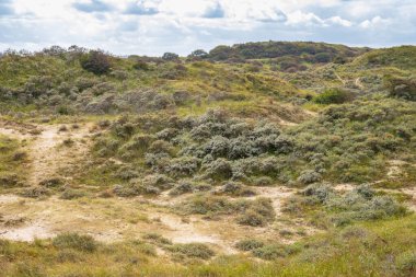 Hollanda kıyısındaki Meijendel 'de bulutlu bir gökyüzü altında Ulusal Park Hollandse Duinen kumulları ve vahşi doğa