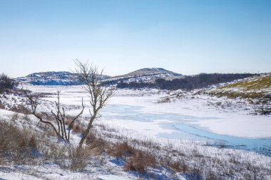 Amsterdamse 'deki karlı ve buzlu kış manzarası Waterleidingduinen, berrak mavi gökyüzü.