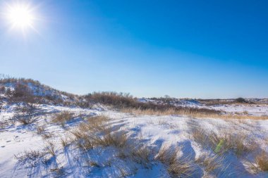 Amsterdamse 'deki karlı ve buzlu kış manzarası Waterleidingduinen, berrak mavi gökyüzü.