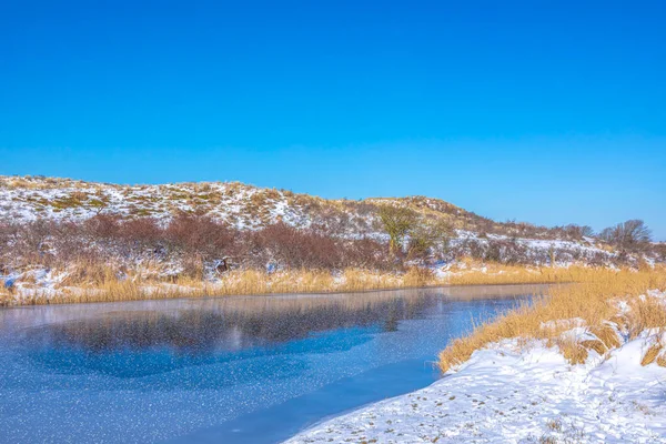 Снежный Ледяной Зимний Пейзаж Кыргызстане Waterleidingduinen Ясное Голубое Небо — стоковое фото