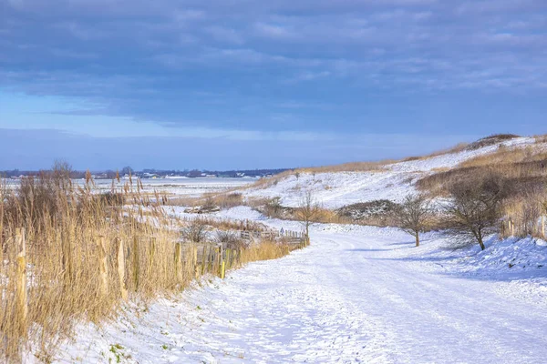 Снежный Пейзаж Холмами Лугами Голубым Небом Зимний Сезон Buytenpark Zoetermeer — стоковое фото