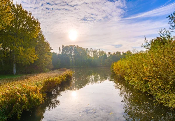 Autumn Colored Trees Forest Bright Sunlight Small Stream Reflection Early — Stock Photo, Image