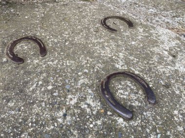 Taşa dizilmiş üç at nalı