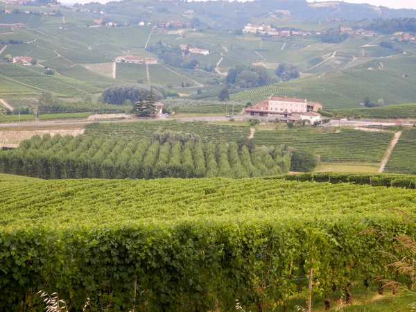 Vista Campo Perto Morra Piemonte Itália — Fotografia de Stock