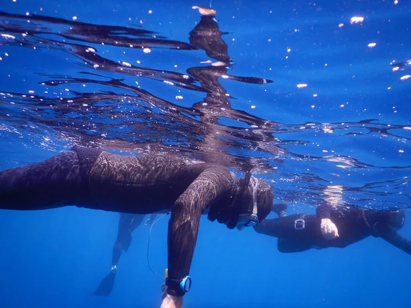 Free Diving Sea Noli Liguria Italy — Stock Photo, Image