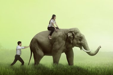 Fil iterek işadamı yardım 