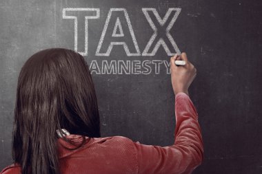 İş kadını vergi AF teklif yazma