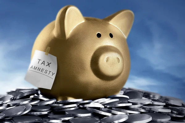 Tax amnesty quote tacked on gold piggy bank — Stock Photo, Image