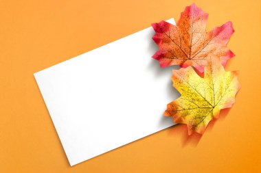 Sonbahar akçaağaç yaprağı ve renkli arka planı olan boş beyaz kağıt. Kopyalama alanı için boş beyaz kağıt