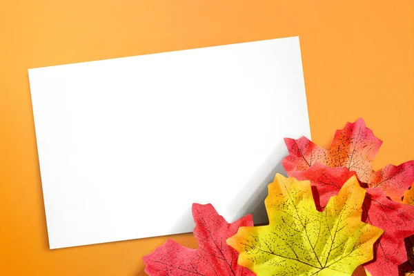 紅葉と空の白い紙の背景色 コピースペースのための空の白い紙 — ストック写真