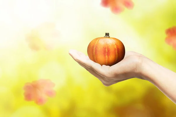 Handpompoen Met Herfstbladeren Fijne Thanksgiving — Stockfoto