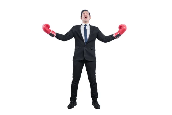 Empresário Asiático Com Luvas Boxe Vermelho Isolado Sobre Fundo Branco — Fotografia de Stock