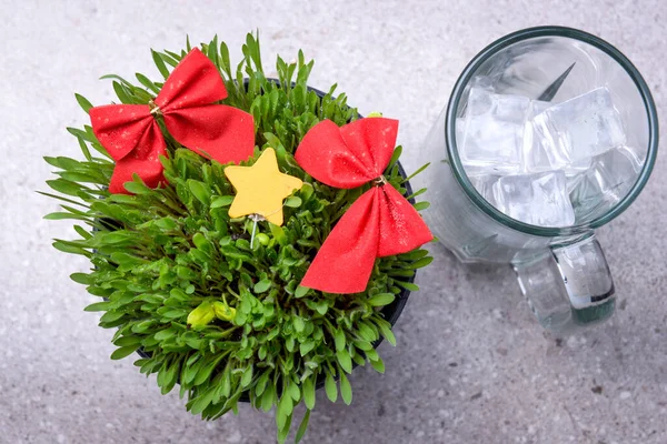 Close Uitzicht Gierst Gras Plant Met Kerst Ornament Pot Glazen — Stockfoto