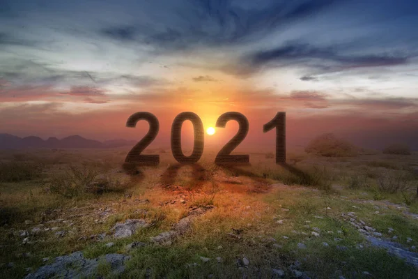 2021 Sul Campo Con Uno Sfondo Cielo Alba Felice Anno — Foto Stock