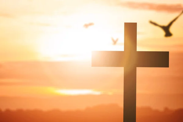 Cruz Cristã Silhueta Pombo Com Fundo Céu Nascer Sol — Fotografia de Stock