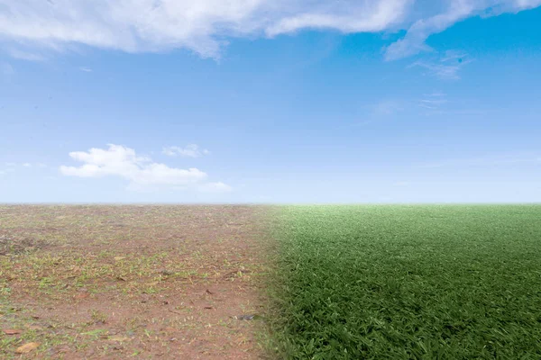 Difference Drought Ground Fertile Soil Field — Stock Photo, Image