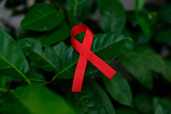 Ruban Rouge Sur Feuille Verte Concept Journée Mondiale Cancer — Photo