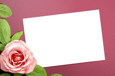 Boş beyaz kağıt ve renkli arka planı olan pembe gül. Sevgililer Günü. Kopyalama alanı için boş boşluk
