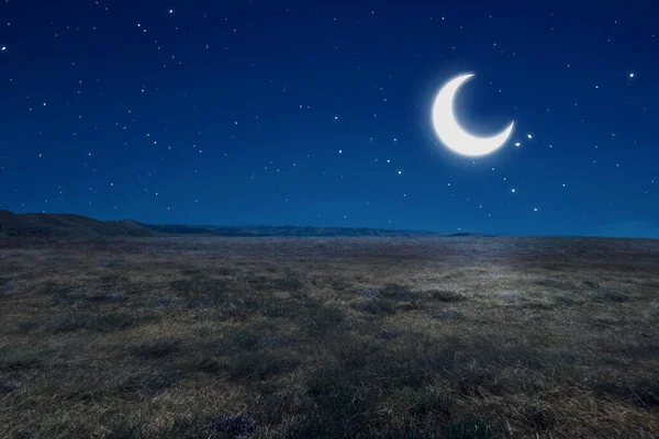 Meadow Field Moonlight Night Scene Background — Stock Photo, Image