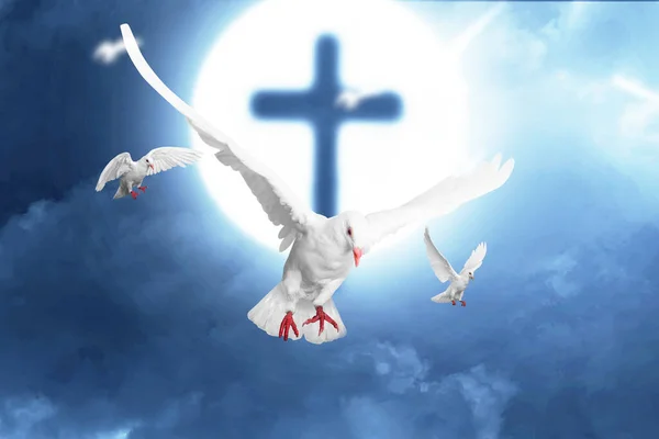 Christian Cross Und Taubenflug Mit Dem Hintergrund Der Nachtszene — Stockfoto