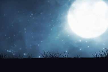 Ay ışığı ve gece manzaralı çayır tarlası silueti.