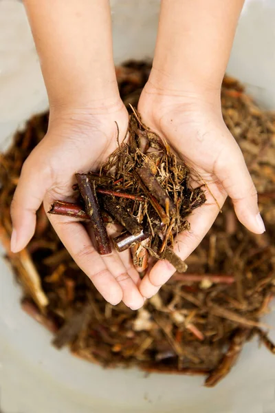 Human Hands Holding Dirt Blurred Background — Stock Photo, Image