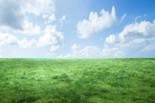 Meadow Felt Med Blå Himmel Baggrund Verdensmiljødag - Stock-foto