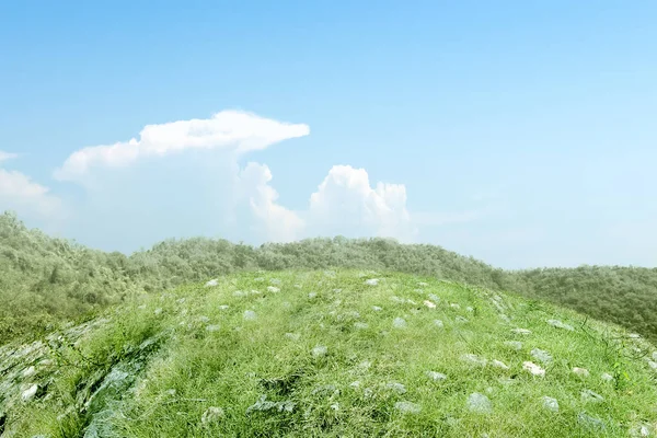 青空を背景に草原地帯 — ストック写真