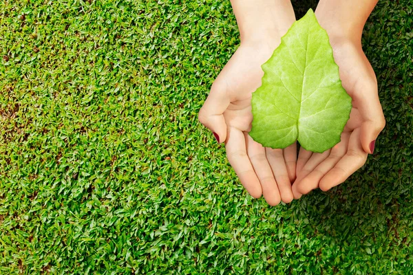 Mano Umana Che Tiene Foglia Verde Giornata Mondiale Dell Ambiente — Foto Stock