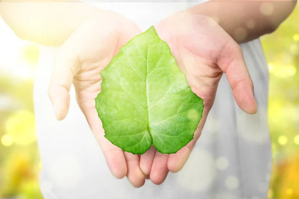 Mão Humana Segurando Folha Verde Dia Mundial Ambiente — Fotografia de Stock
