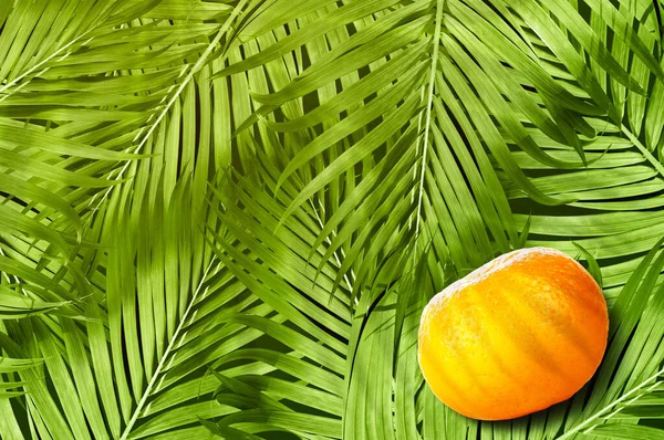 Laranja Fruta Com Folhas Palma Fundo — Fotografia de Stock