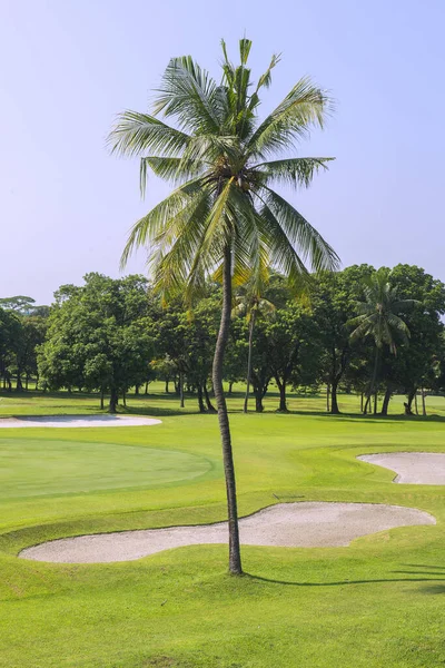 Golfbaan Met Blauwe Lucht Achtergrond — Stockfoto