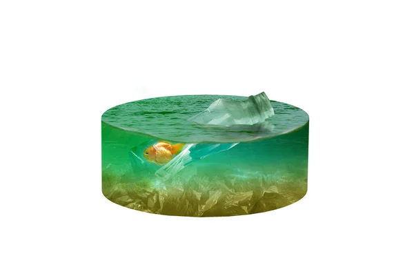 Unterwasserblick Mit Goldfischen Die Einer Plastikflasche Auf Dem See Gefangen — Stockfoto