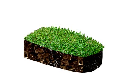 Yeraltı toprak tabakası üzerinde çayır olan enine kesit toprak tabakası. Çevre kavramı