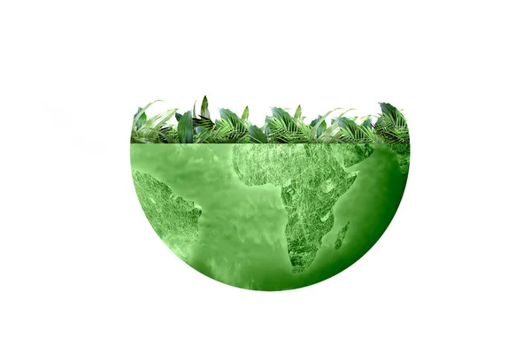 Ziemia Rosnącymi Roślinami Nad Nią Koncepcja Środowiska — Zdjęcie stockowe