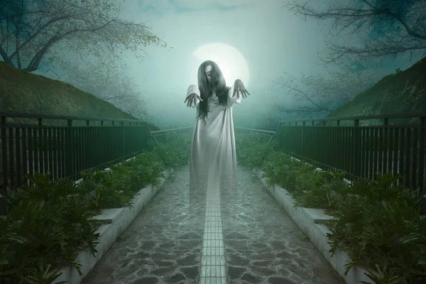 Enge Spookvrouw Het Pad Met Mist Maanlicht Achtergrond Halloween Concept — Stockfoto