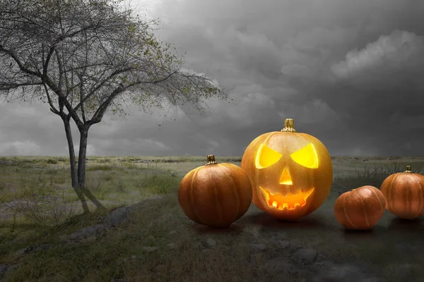 Jack Lantern Het Groene Gras Met Een Nacht Scene Achtergrond — Stockfoto