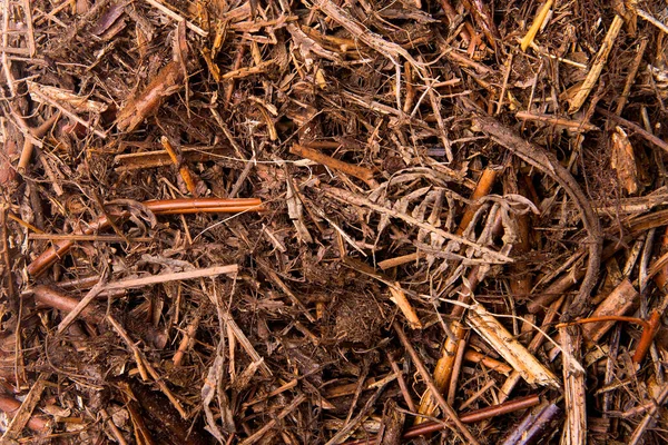 Close View Soil Ground Texture Background — Stock Photo, Image