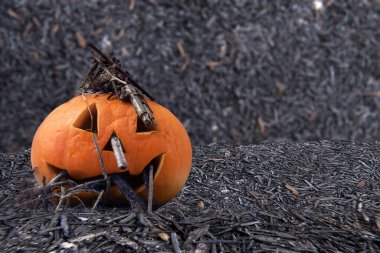 Balkabağı-fener yerde bir dal ile