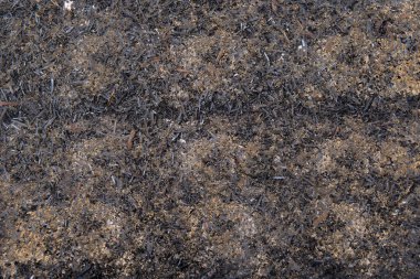 Arkaplan için toprak zemin dokusunu kapat