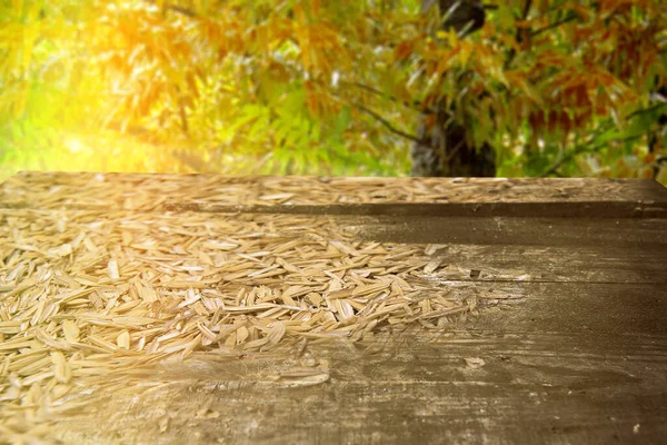 Table Bois Avec Fond Forêt — Photo