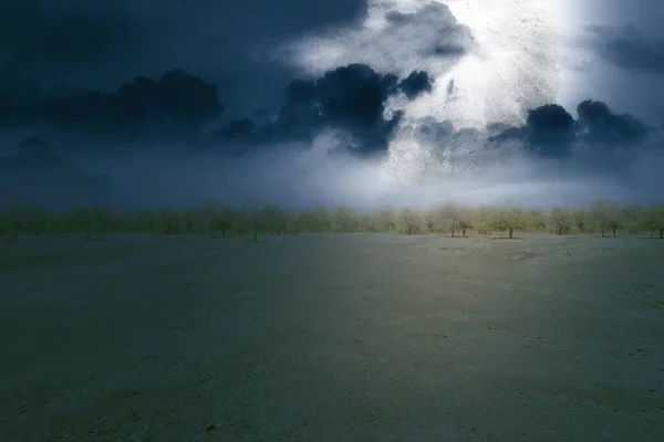 Desierto Con Árboles Luna Llena Con Fondo Escena Nocturna — Foto de Stock