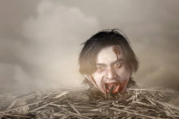 Enge Zombie Hoofd Met Bloed Wond Opgetrokken Uit Grond Het — Stockfoto