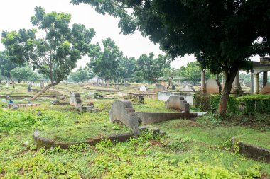 Parlak bir günde ağaçlarla ve mezar taşlarıyla dolu bir mezarlık.