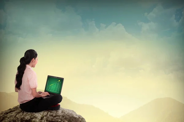 Mujer de negocios usando el ordenador portátil en la montaña —  Fotos de Stock