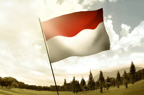 Bendera Indonesia melambai di atas bukit — Stok Foto