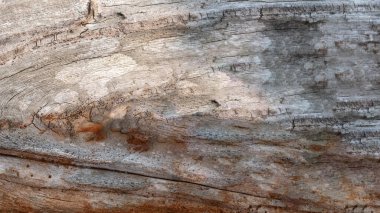 Köy ahşap yüzeyinin karmaşık tahıl deseninin yakın görüntüsü. Ahşap doku arkaplanı