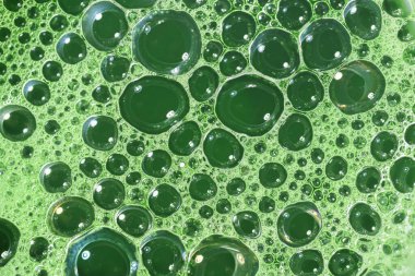 Çeşitli arka planlar için uygun, karmaşık desenli yeşil kabarcıklar ve köpük yakın görünüm